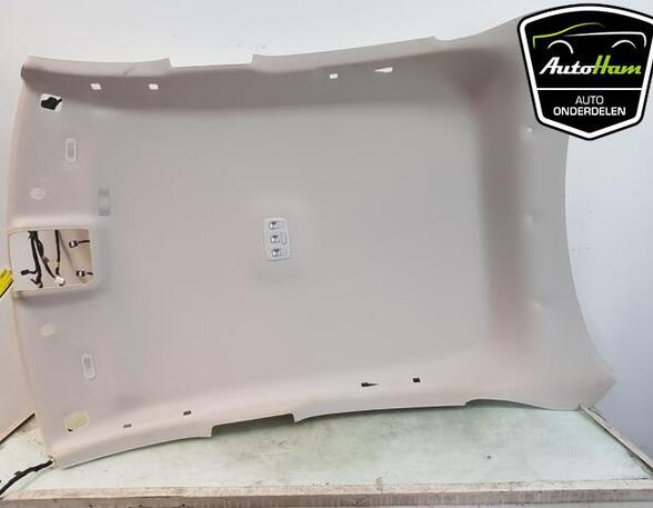 Front Interior Roof Trim Panel RENAULT ARKANA I (LCM_, LDN_)