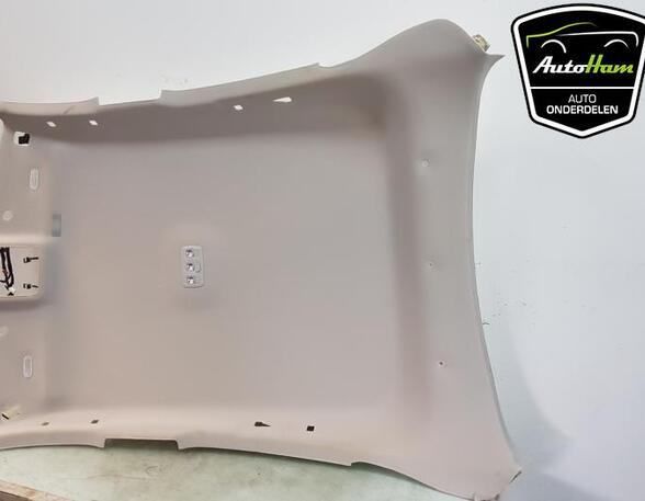 Front Interior Roof Trim Panel RENAULT ARKANA I (LCM_, LDN_)