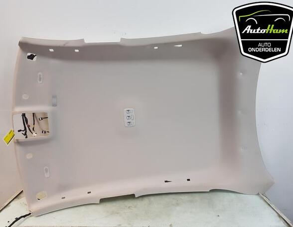 Front Interior Roof Trim Panel RENAULT ARKANA I (LCM_, LDN_)