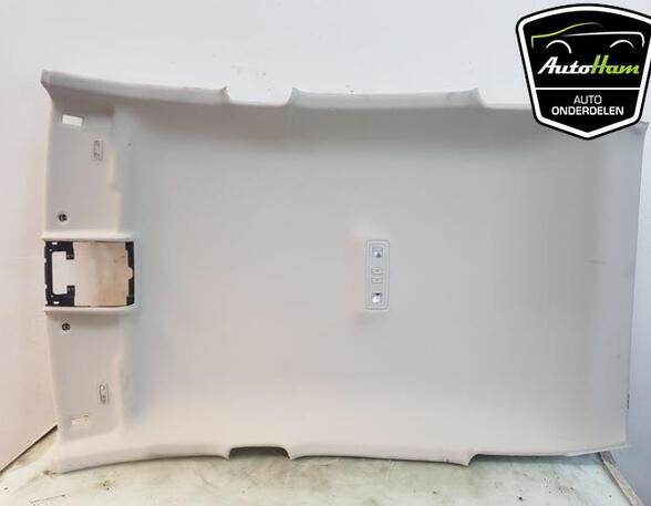 Front Interior Roof Trim Panel VW POLO (AW1, BZ1)