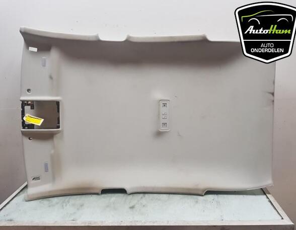 Front Interior Roof Trim Panel VW TAIGO (CS1)