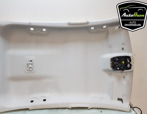 Front Interior Roof Trim Panel CITROËN C4 III (BA_, BB_, BC_)