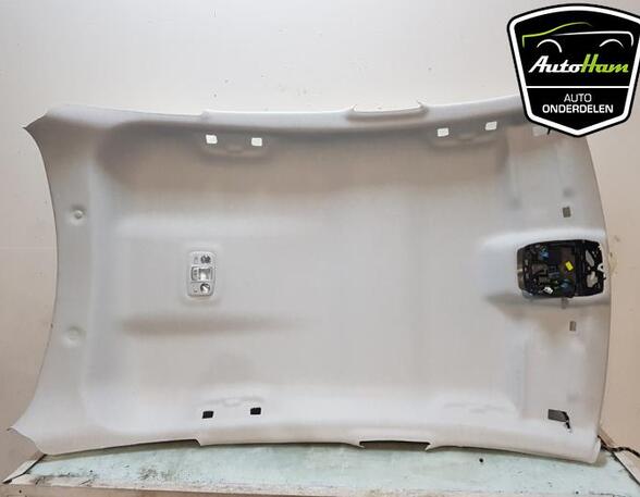 Front Interior Roof Trim Panel CITROËN C4 III (BA_, BB_, BC_)