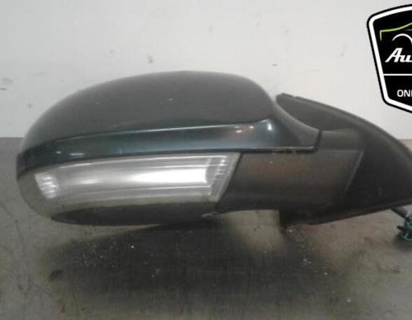 Wing (Door) Mirror VW PASSAT (3C2), VW PASSAT Variant (3C5)