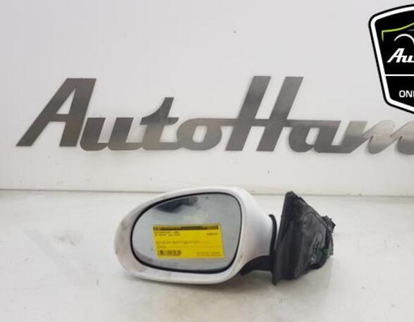 Wing (Door) Mirror VW PASSAT Variant (3C5), VW PASSAT (3C2)