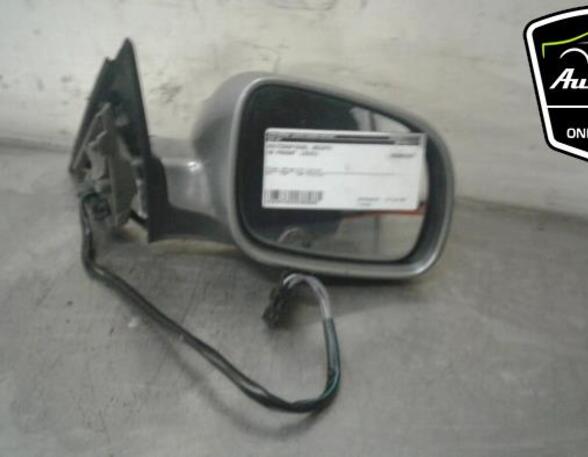 Wing (Door) Mirror VW PASSAT Variant (3B6), VW PASSAT (3B3)