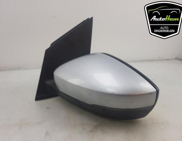 Wing (Door) Mirror VW POLO (6R1, 6C1), VW POLO Van (6R)