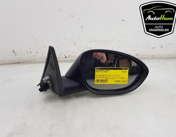 Wing (Door) Mirror BMW Z4 Roadster (E89)