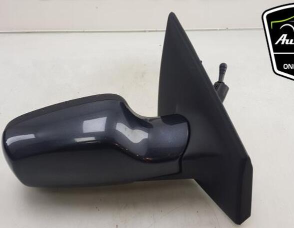 Wing (Door) Mirror RENAULT CLIO III (BR0/1, CR0/1), RENAULT CLIO IV (BH_), RENAULT CLIO II (BB_, CB_)