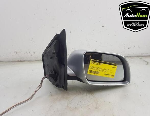 Wing (Door) Mirror VW POLO (9N_)