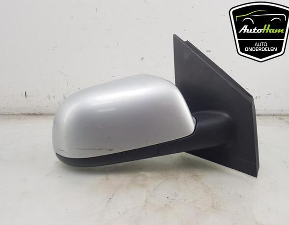 Wing (Door) Mirror VW POLO (9N_)