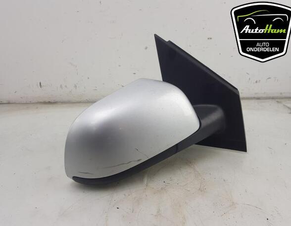 Wing (Door) Mirror VW POLO (9N_)