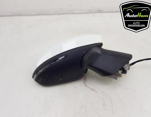 Wing (Door) Mirror RENAULT CLIO V (B7_)