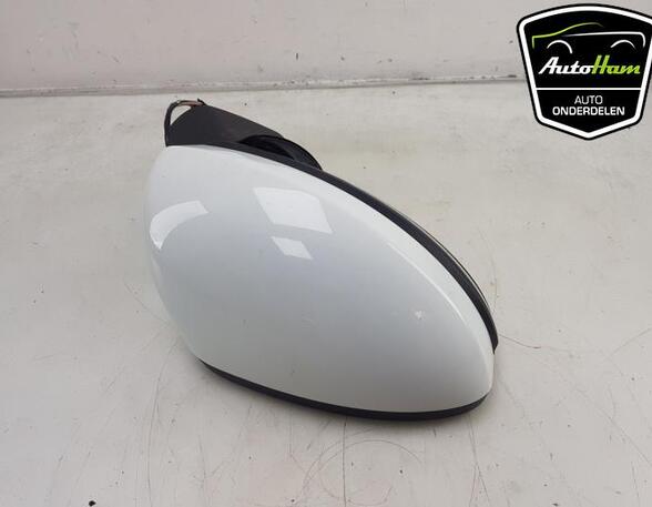 Wing (Door) Mirror RENAULT CLIO V (B7_)