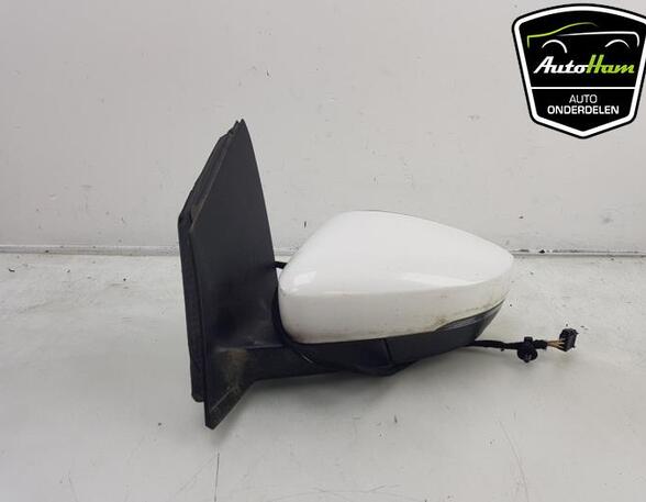 Wing (Door) Mirror VW POLO (6R1, 6C1), VW POLO Van (6R)