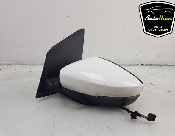 Wing (Door) Mirror VW POLO (6R1, 6C1), VW POLO Van (6R)