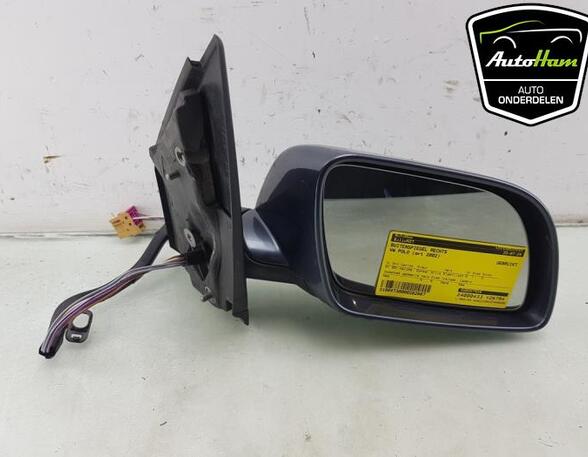 Wing (Door) Mirror VW POLO (9N_)