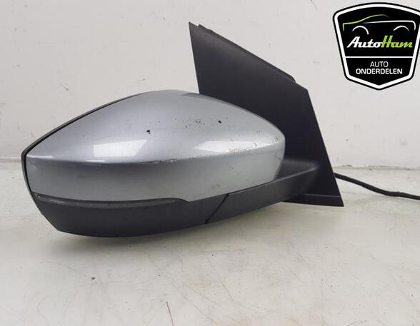 Wing (Door) Mirror VW POLO (6R1, 6C1), VW POLO Van (6R)