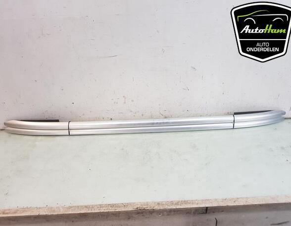 Roof Rails (Bars) VW TIGUAN (AD1, AX1)