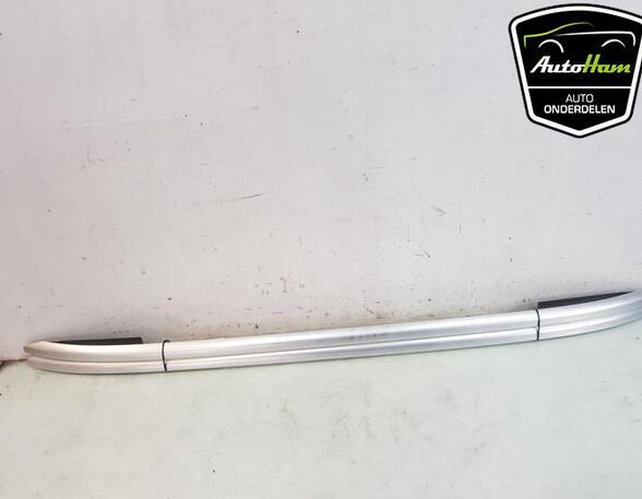 Roof Rails (Bars) VW TIGUAN (AD1, AX1)