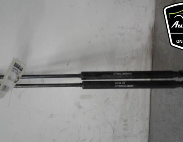 Gas Spring FIAT GRANDE PUNTO (199_), FIAT PUNTO (199_), FIAT PUNTO EVO (199_), ABARTH GRANDE PUNTO