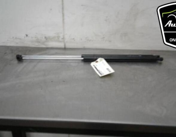 Gas Spring PEUGEOT 207 CC (WD_)