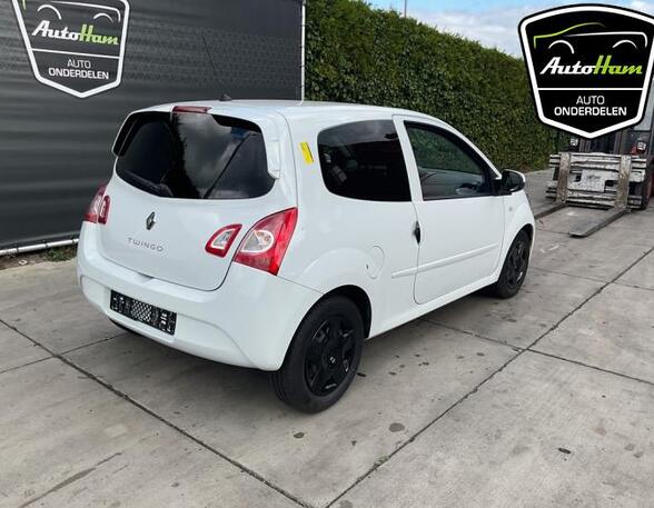 Kofferruimteklep RENAULT TWINGO II (CN0_)