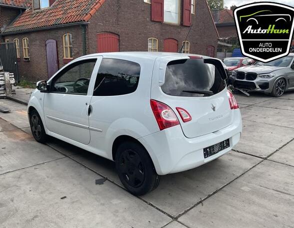 Kofferruimteklep RENAULT TWINGO II (CN0_)