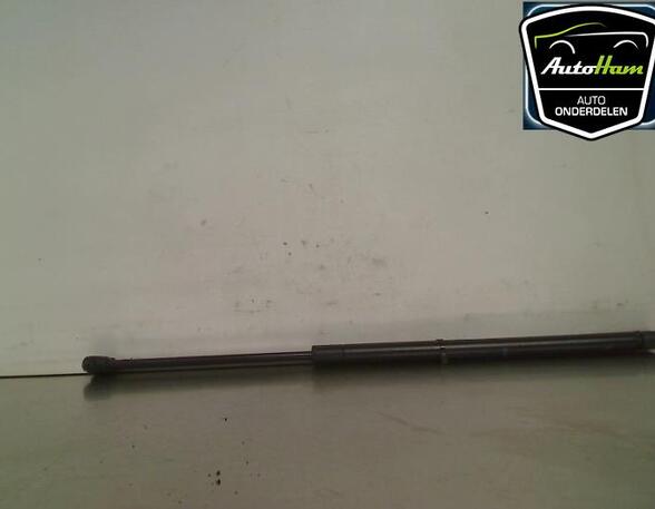 Bootlid (Tailgate) Gas Strut Spring RENAULT MEGANE Scenic (JA0/1_), RENAULT SCÉNIC I MPV (JA0/1_, FA0_)