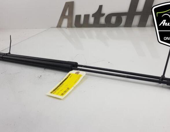 Bootlid (Tailgate) Gas Strut Spring RENAULT KANGOO / GRAND KANGOO (KW0/1_)