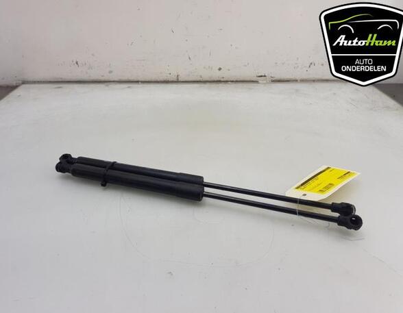 Bootlid (Tailgate) Gas Strut Spring RENAULT CLIO IV Grandtour (KH_)