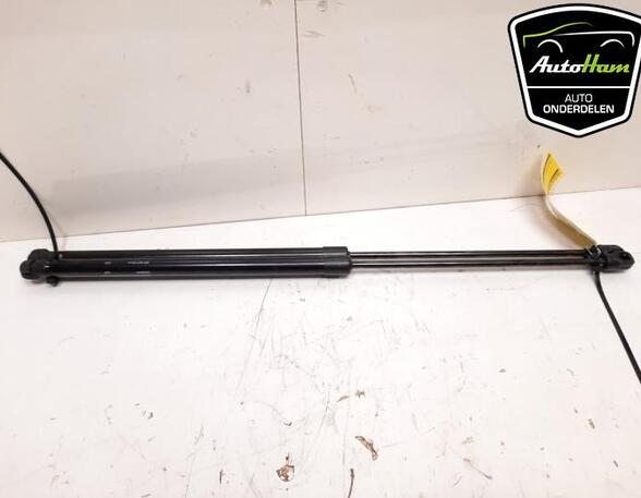 Bootlid (Tailgate) Gas Strut Spring SKODA SCALA (NW1)