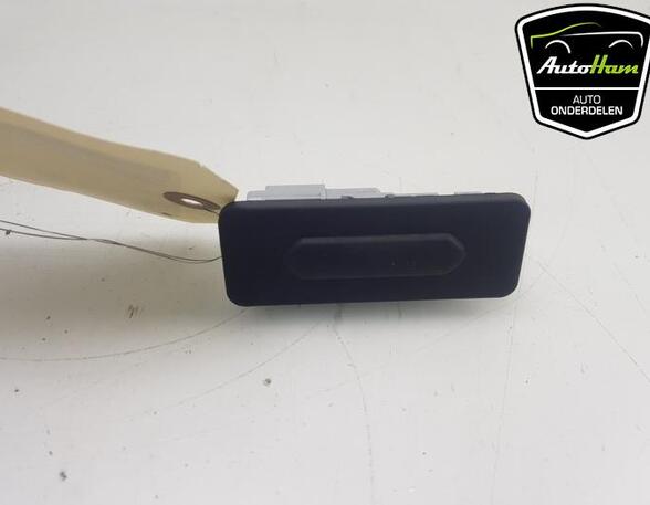 Tailgate Handle RENAULT CLIO V (B7_)