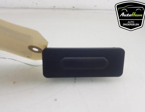 Tailgate Handle RENAULT CLIO V (B7_)