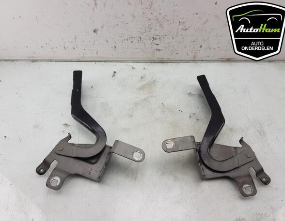 Bonnet Hinge RENAULT CLIO IV Grandtour (KH_), RENAULT CAPTUR I (J5_, H5_), RENAULT CLIO IV (BH_)