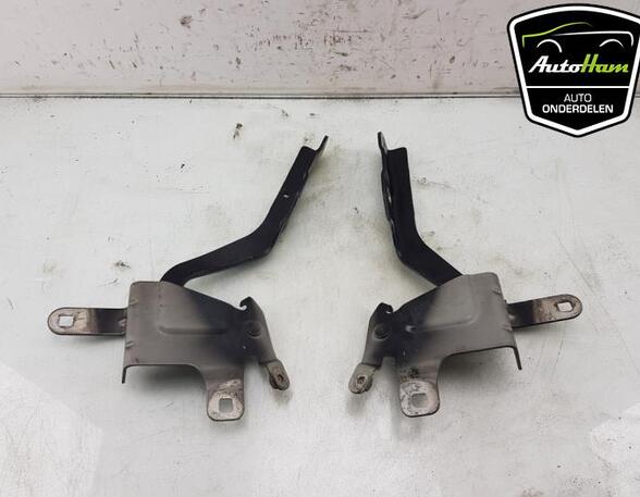 Bonnet Hinge RENAULT CLIO IV Grandtour (KH_), RENAULT CAPTUR I (J5_, H5_), RENAULT CLIO IV (BH_)