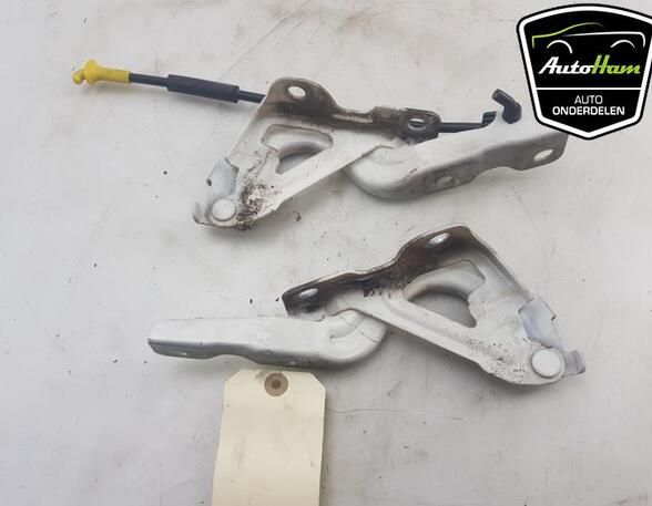 Bonnet Hinge HYUNDAI i10 III (AC3, AI3)