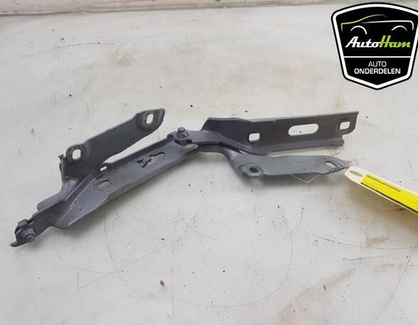 Bonnet Hinge AUDI A3 Sportback (8VA, 8VF), AUDI A3 Limousine (8VS, 8VM), VW POLO (6R1, 6C1), AUDI A3 (8V1, 8VK)