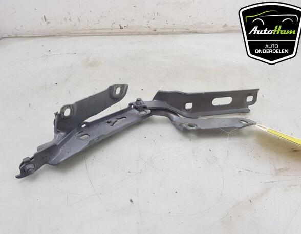 Bonnet Hinge AUDI A3 Sportback (8VA, 8VF), AUDI A3 Limousine (8VS, 8VM), VW POLO (6R1, 6C1), AUDI A3 (8V1, 8VK)