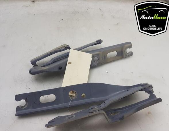 Bonnet Hinge CUPRA BORN (K11)