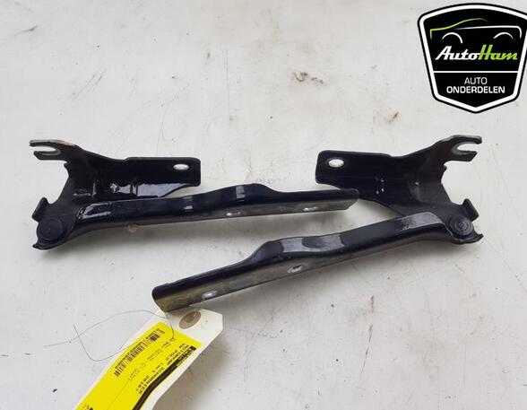 Bonnet Hinge VW POLO (6R1, 6C1), VW POLO Van (6R)