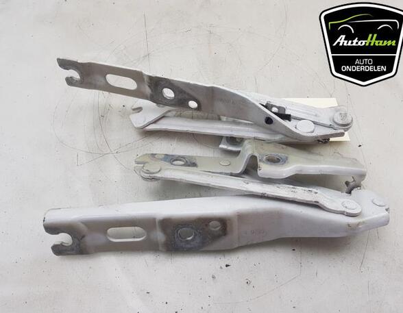 Bonnet Hinge CUPRA BORN (K11)