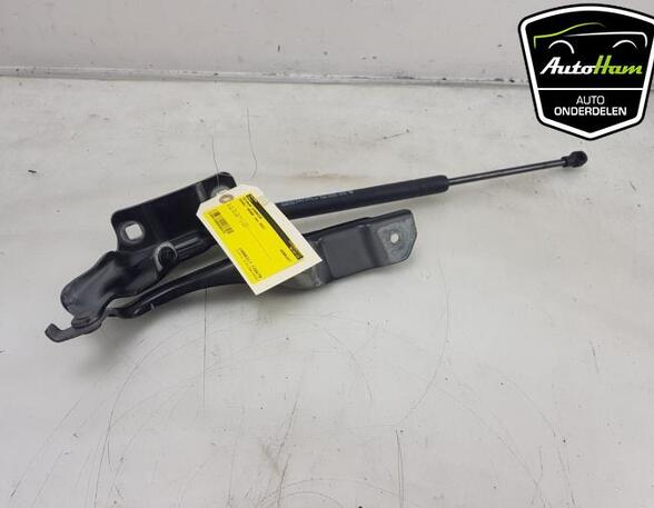 Bonnet Hinge RENAULT ARKANA I (LCM_, LDN_)