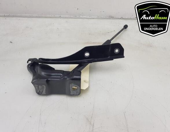 Bonnet Hinge RENAULT ARKANA I (LCM_, LDN_)