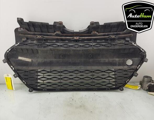 Radiator Grille HYUNDAI i10 II (BA, IA)