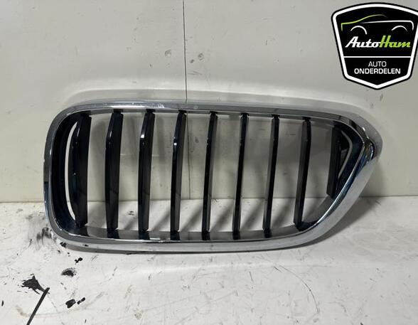 Radiateurgrille BMW 6 Gran Turismo (G32)