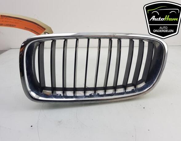 Radiator Grille BMW 3 (F30, F80)