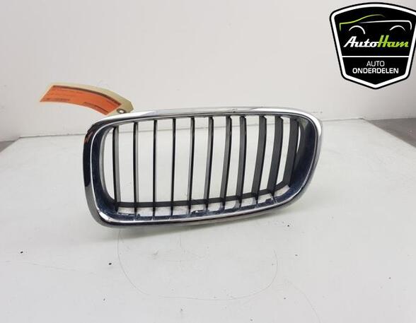 Radiator Grille BMW 3 (F30, F80)