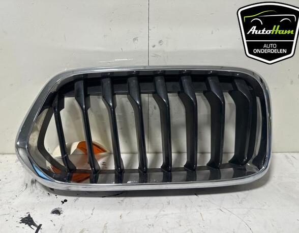 Radiateurgrille BMW X2 (F39)