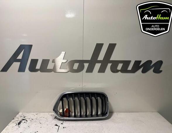 Radiateurgrille BMW X2 (F39)